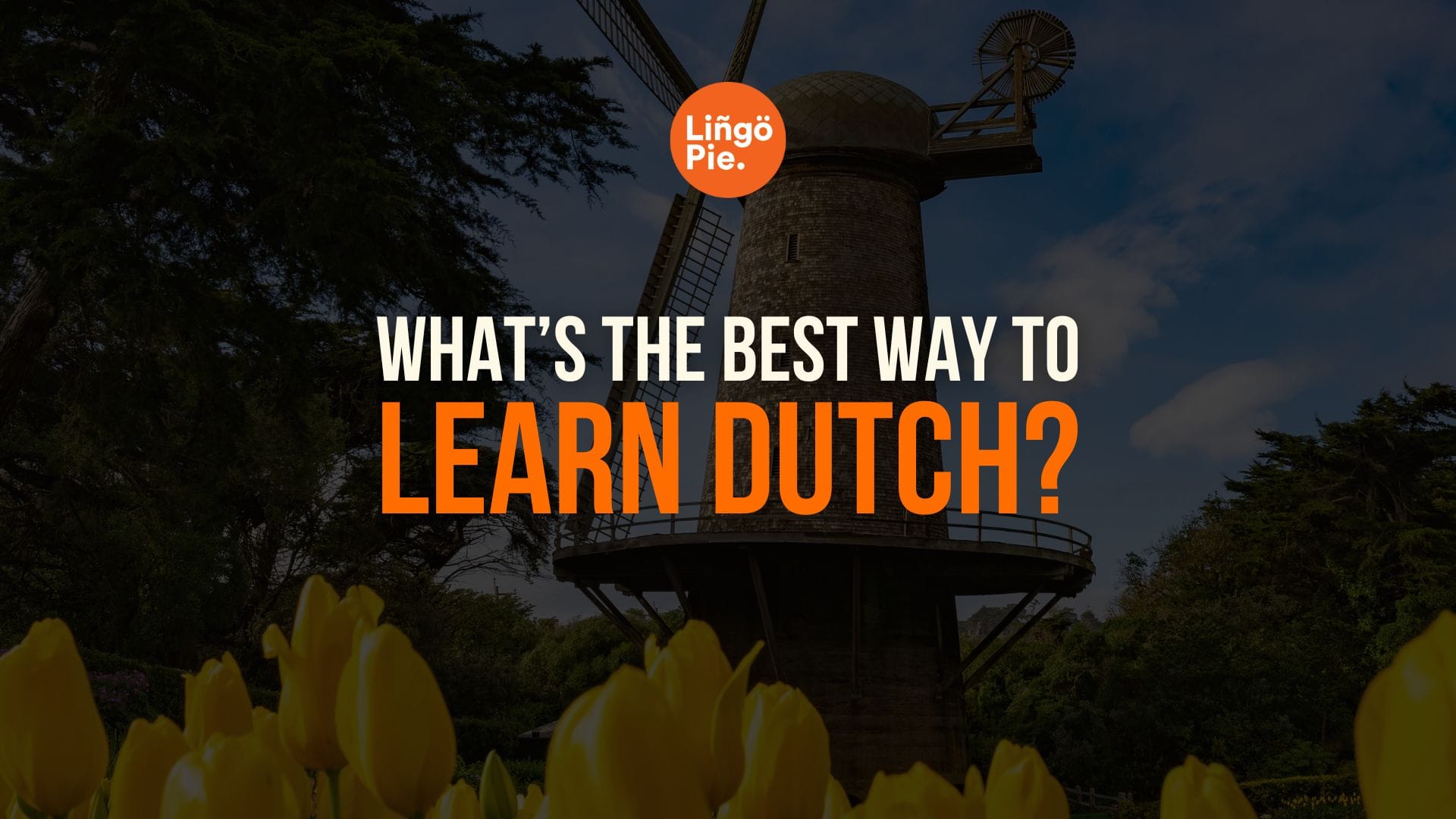 What’s The Best Way To Learn Dutch On Your Own? [2026 Guide]