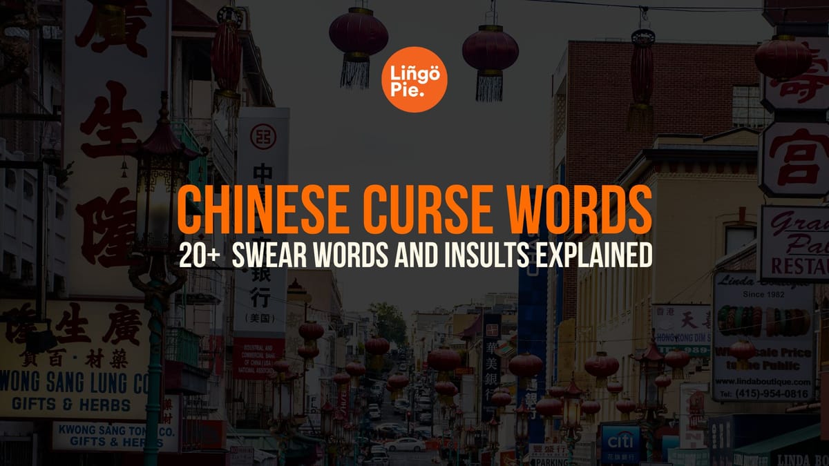 20+ Chinese Curse Words And Meanings Explained