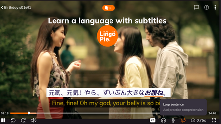 Learn a Language With Subtitles: A Comprehensive Guide for 2026